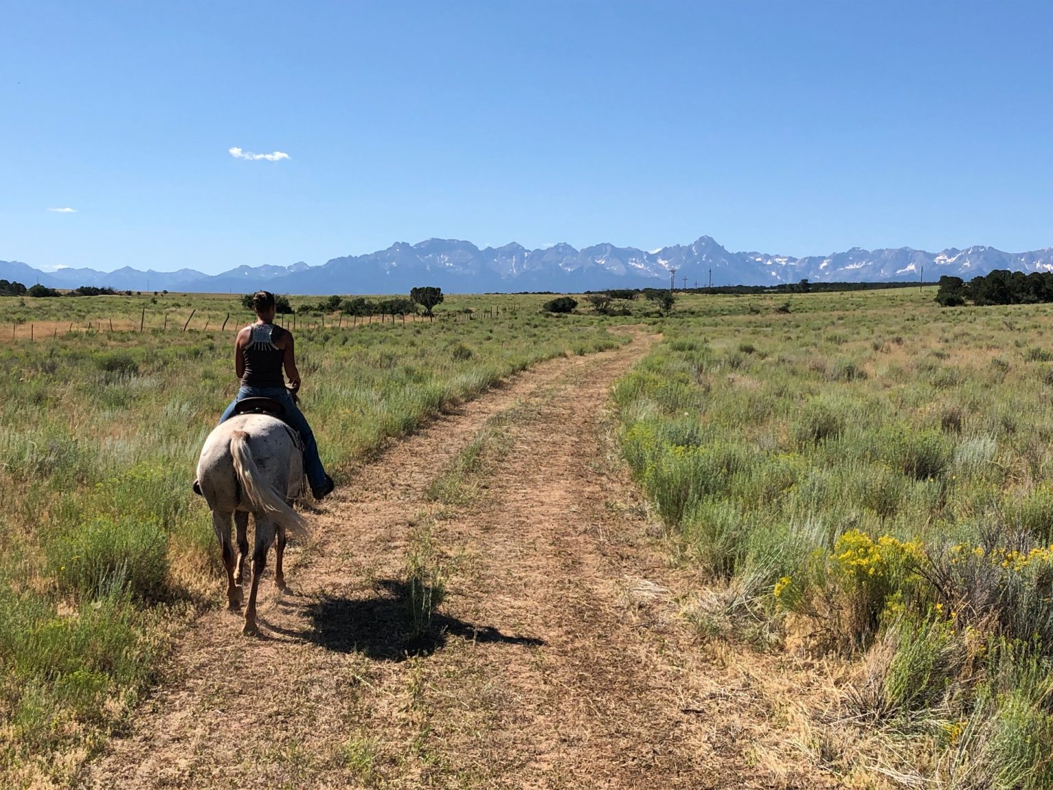 Our Ranch Animals - GG-Ranch